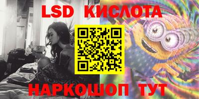прущие грибы Гусев