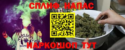 гидра Гусиноозёрск