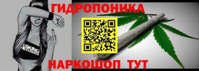 прущие грибы Гусев