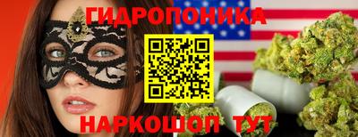 прущие грибы Гусев