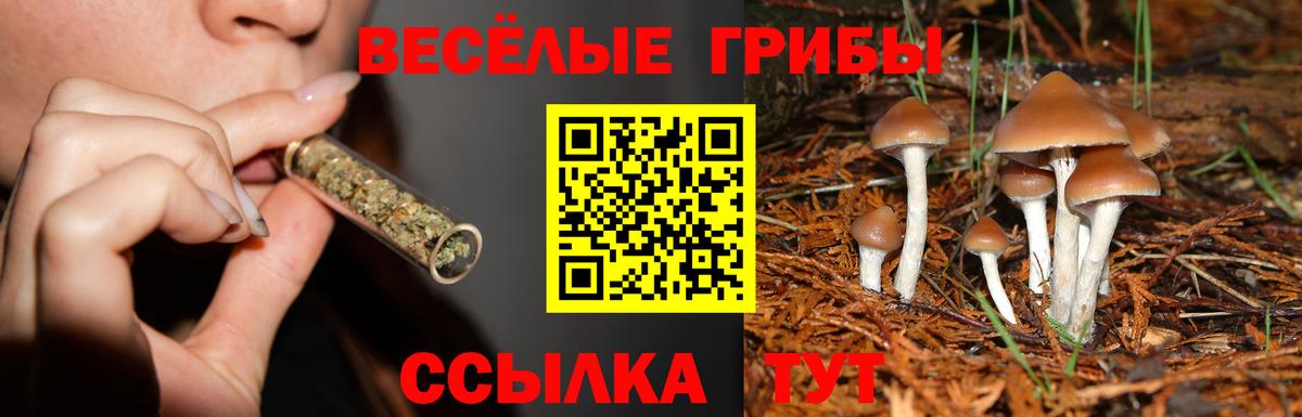 Галлюциногенные грибы ЛСД  Псилоцибиновые грибы прущие грибы  Россия  Вход с VPN 