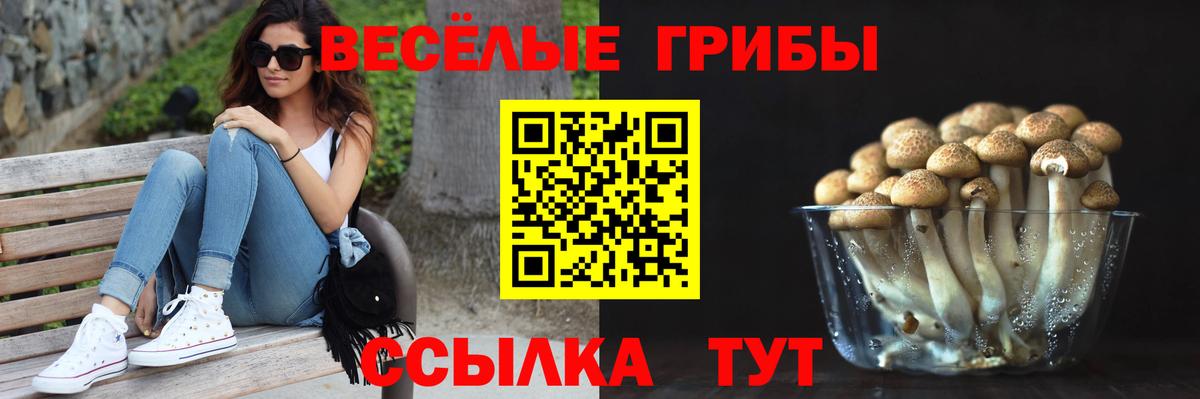 Галлюциногенные грибы мухоморы Россия